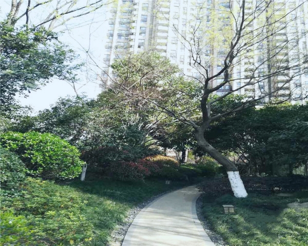 房源图片